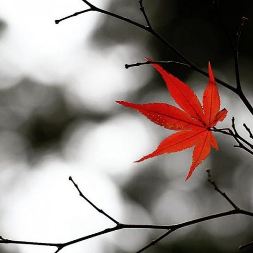 1941203_1671386113104674_1702957957_n